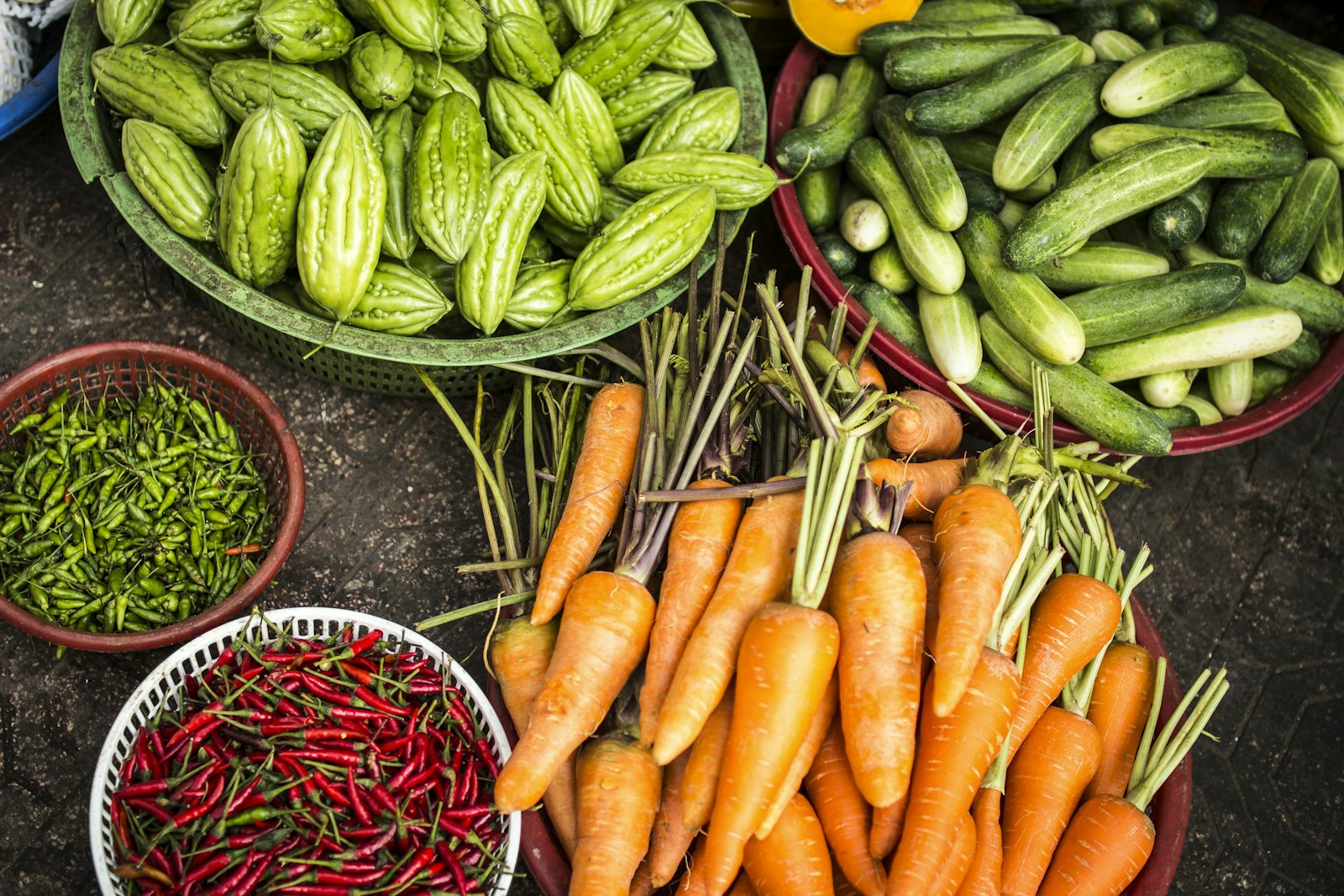 Community gardens in Amsterdam: how to join, what to bring, and making friends through soil (and small talk)